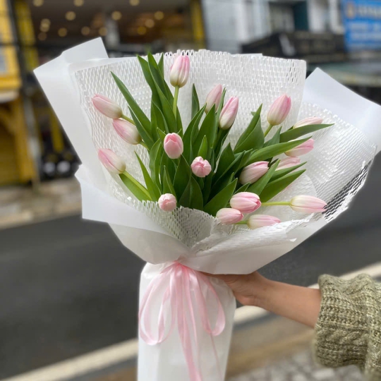 Bó Hoa Tươi Chúc Mừng - Hoa Tulip TN020